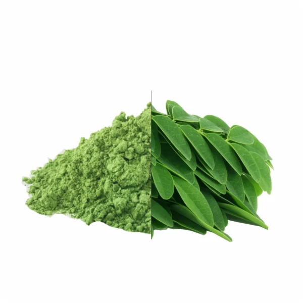 Moringa Powder (50g) - Image 4