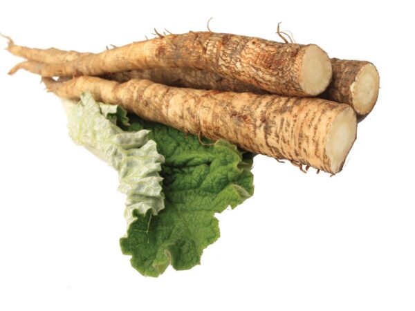 Herbal Tea: Burdock Root (50g) - Image 7